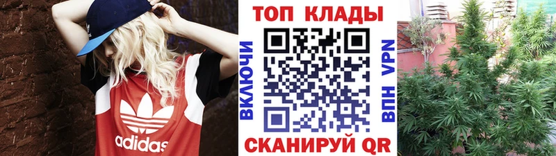 Где купить Обоянь Галлюциногенные грибы ГАШИШ Конопля Alpha PVP