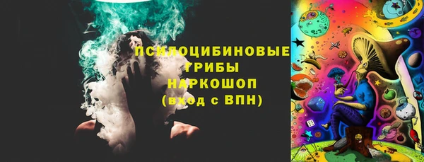 ПСИЛОЦИБИНОВЫЕ ГРИБЫ Куртамыш