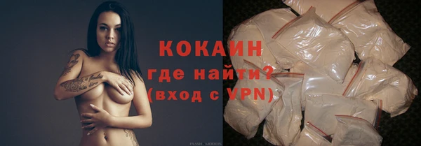молекула духа Пестово