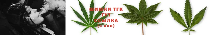 молекула духа Пестово