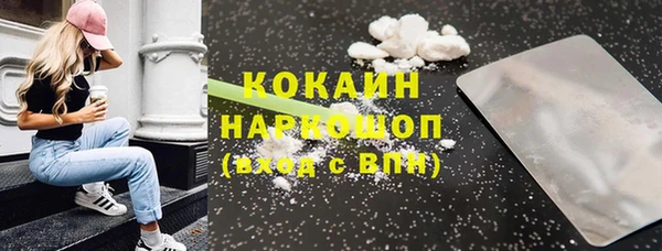 молекула духа Пестово