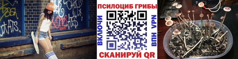 кракен ONION  наркотики  Обоянь  Псилоцибиновые грибы мицелий 